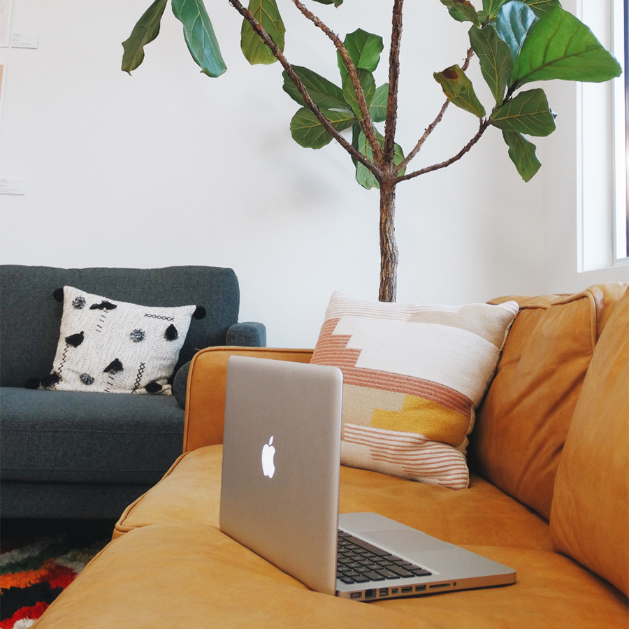 Orange couch with decorative pillows and Mac laptop in front of indoor plant with large green leaves.